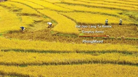Hotspot Matrix và 55 năm, không ai biết bên trong biệt thự nhà Suneo có những gì: Điều bí_Tìm người xây dựng video tự do