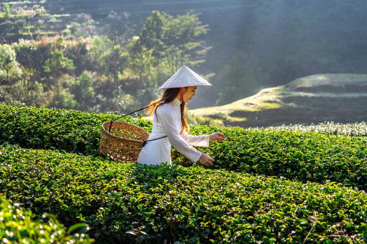 Sự Bùng Nổ Của Video Ngắn và Trí Tuệ Nhân Tạo: Vai Trò Thiết Yếu Của Đào Tạo Kỹ Năng Sáng Tạo Nội Dung