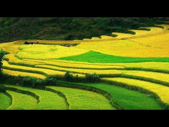 Hotspot Matrix: Cơ hội đầu tư an toàn cho người khởi nghiệp
