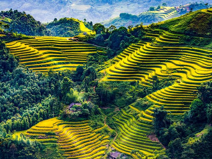 Hotspot Matrix và Nghiên Cứu: Người Phụ Nữ Không Ngủ 40 Năm