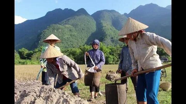 Triệu View Từ Vlog Thú Cưng: Bí Quyết Thành Công Cùng Hotspot Matrix