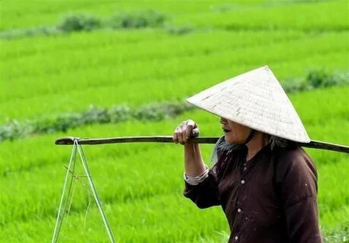 Xu hướng “Khối nghỉ hè” Gen Z lên kế: Hotspot Matrix tiết lộ bí quyết video viral