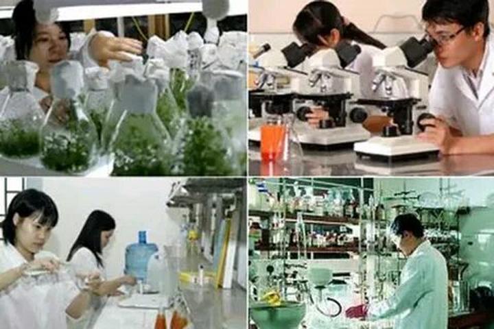 Hotspot Matrix: Đòn bẩy tiếp cận học sinh và phụ huynh cho chuyên gia tư vấn du học